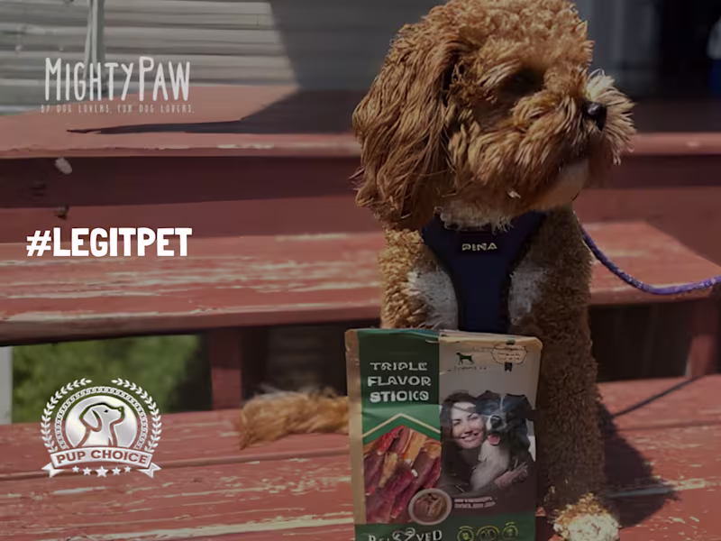 Cover image for Multi-Pet Treat UGC | UGC Videos
