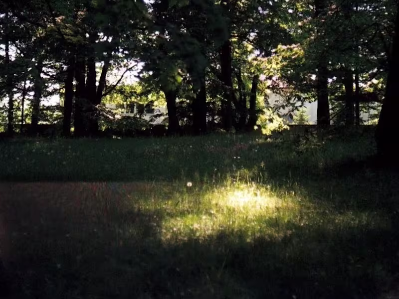 Cover image for 35mm film, walks