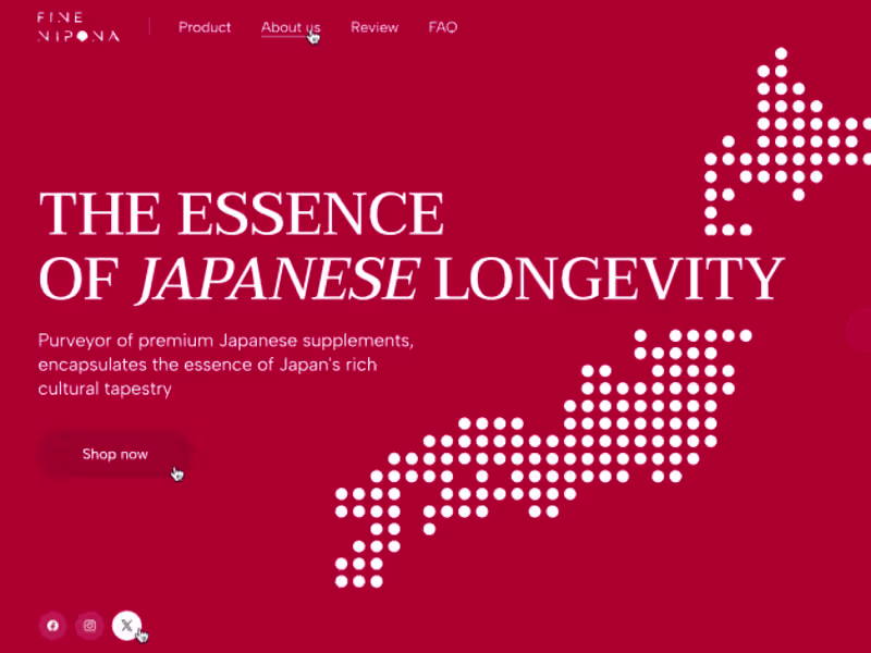 Cover image for Fine Nipona | Web Design