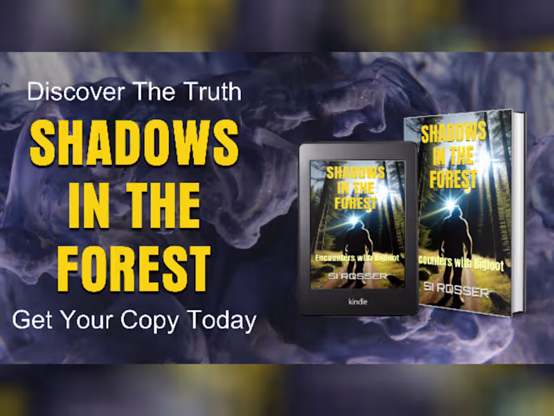 Cover image for I created this Book Promotional