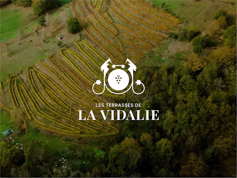 Cover image for Brand, Web & Packaging Design for Les Terrasses de La Vidalie