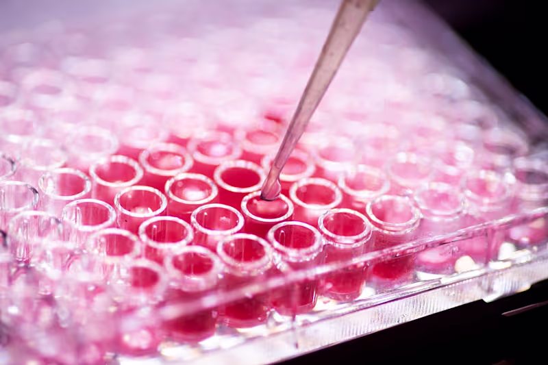 Cover image for Bioethics in the Age of Organoids and Synthetic Embryos