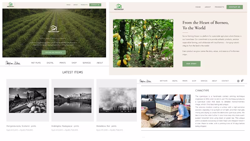 Cover image for Website Design & Development 