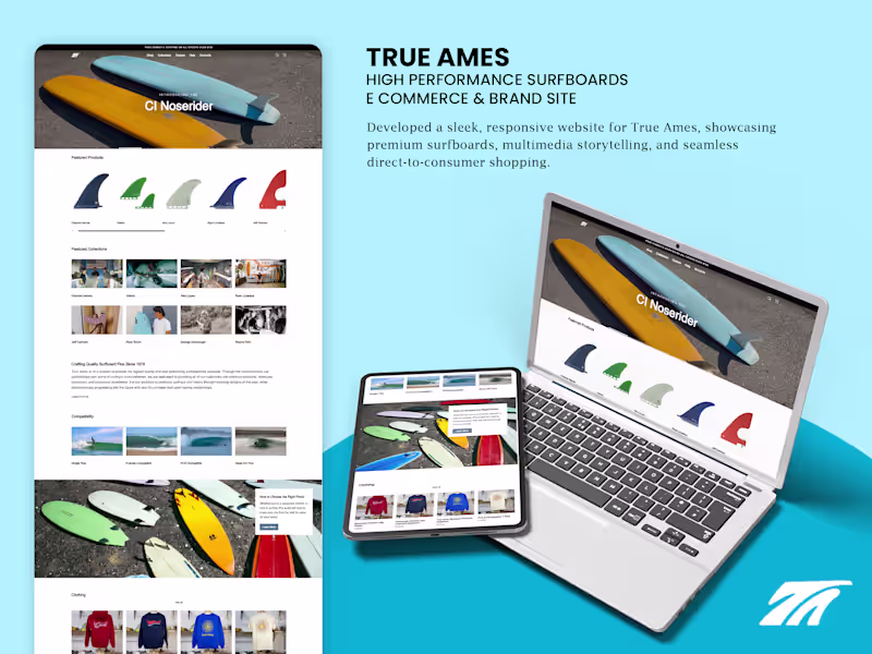 Cover image for Trueames Website Development