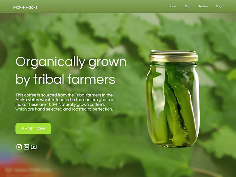 Cover image for Pickle selling site