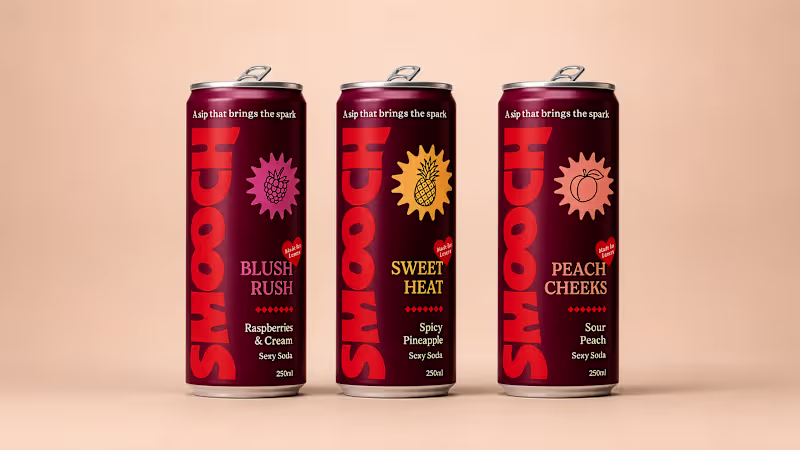 Cover image for I built the Smooch brand