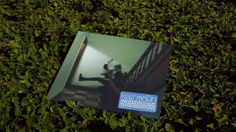 Cover image for kaz moon