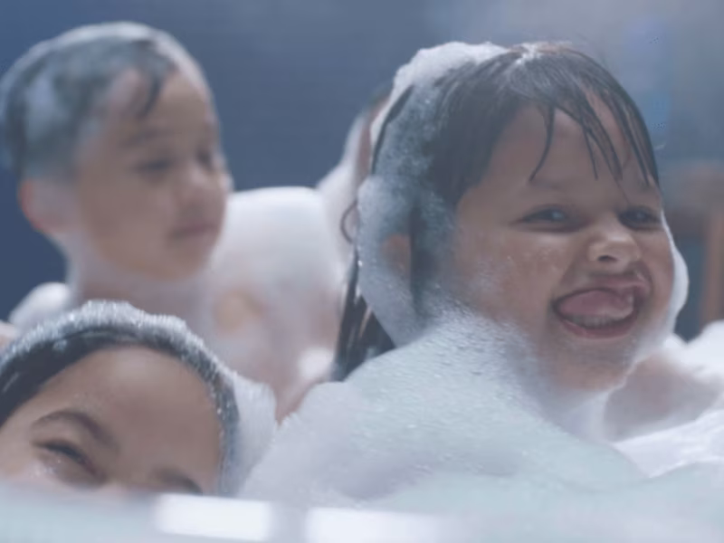 Cover image for Dial. The Every Family Soap.