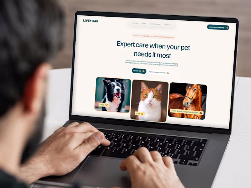 Cover image for UX Audit & Redesign for a specialty veterinary hospital