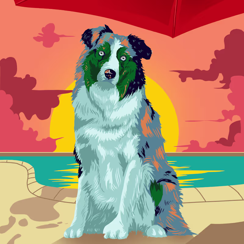 Cover image for ZOOMIES - Pet food illustrations.