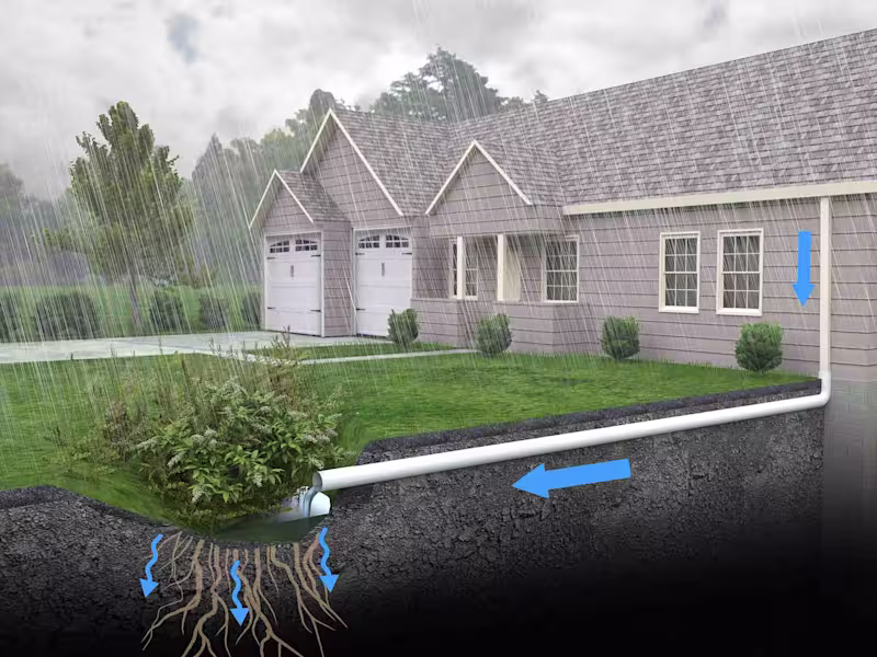 Cover image for A Homeowner’s Guide To Rain Gardens