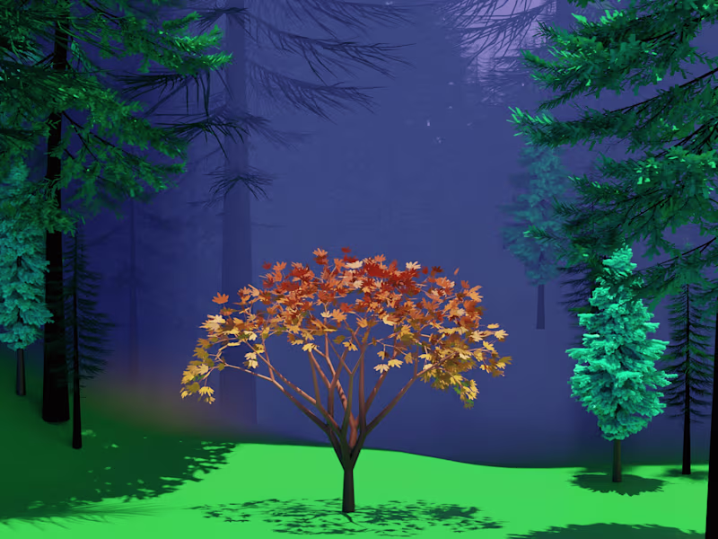 Cover image for Enchanting Forest