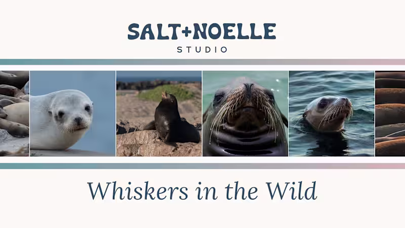 Cover image for Whiskers in the Wild: Multi-Year Pinniped Documentation