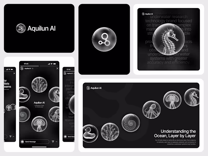 Cover image for Aquilun AI Visual Identity