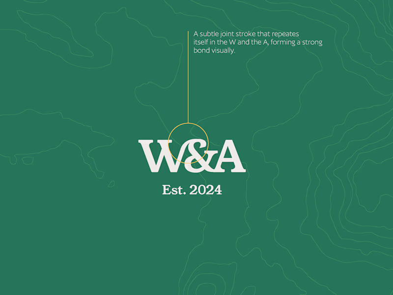 Cover image for Brand Identity + Website That Converts
