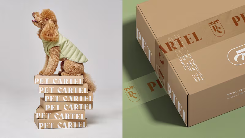 Cover image for Identity design for dog's clothes brand