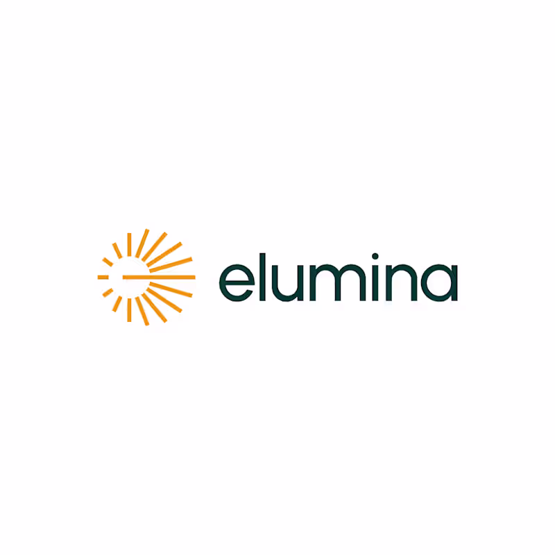 Cover image for elumina logo design