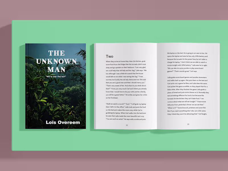 Cover image for book