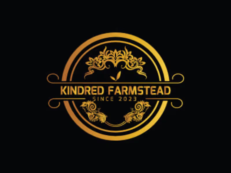 Cover image for Logo Design for Any Company