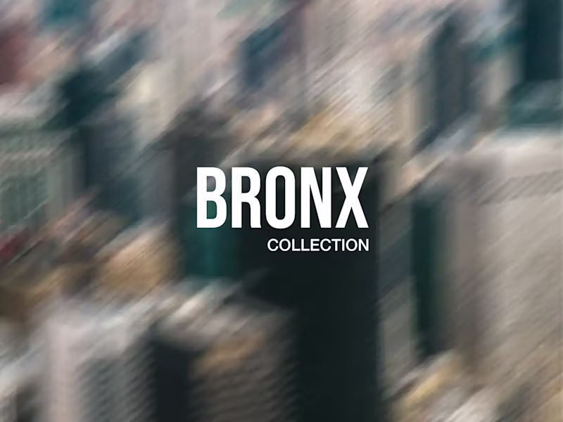 Cover image for Bronx x MPNY