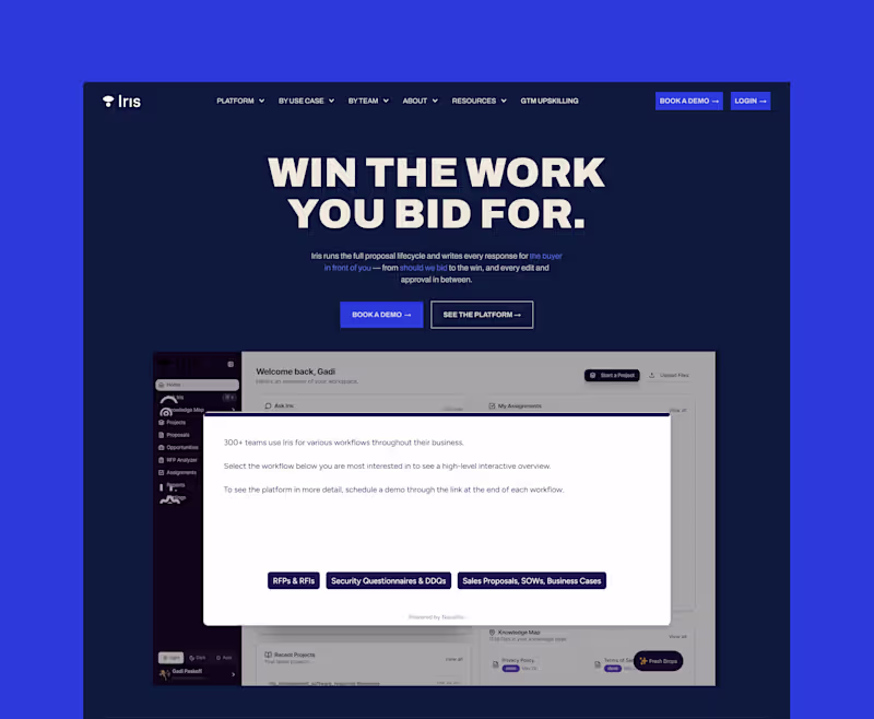 Cover image for Iris Webflow Website Development