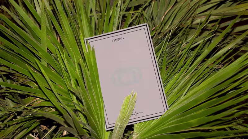 Cover image for Brand Identity for Casa Olivia 