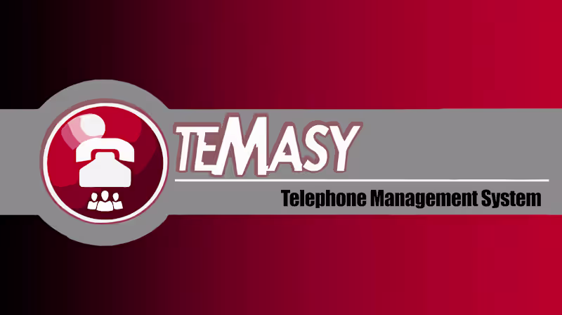 Cover image for TeMaSy