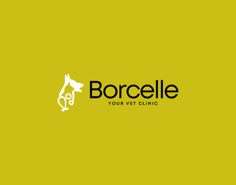 Cover image for Borcelle Veterinary Clinic Brand Identity Design