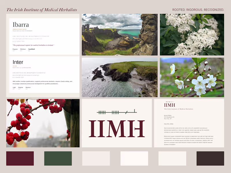 Cover image for The IIMH is the professional