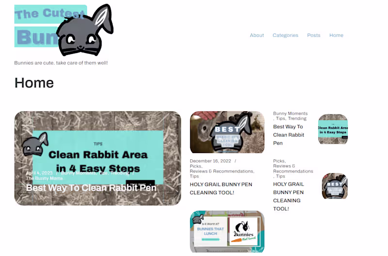 Cover image for Customized WordPress Website Development