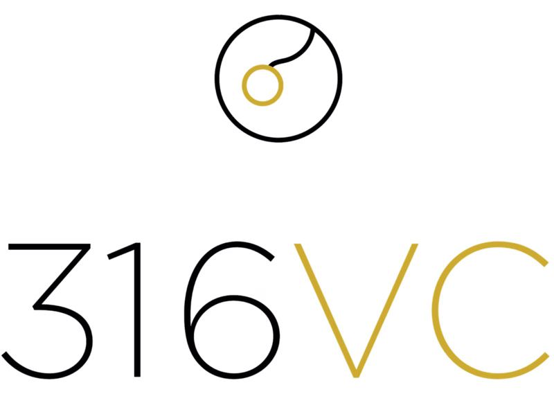 Cover image for 316VC – Crypto Accelerator & Incubator