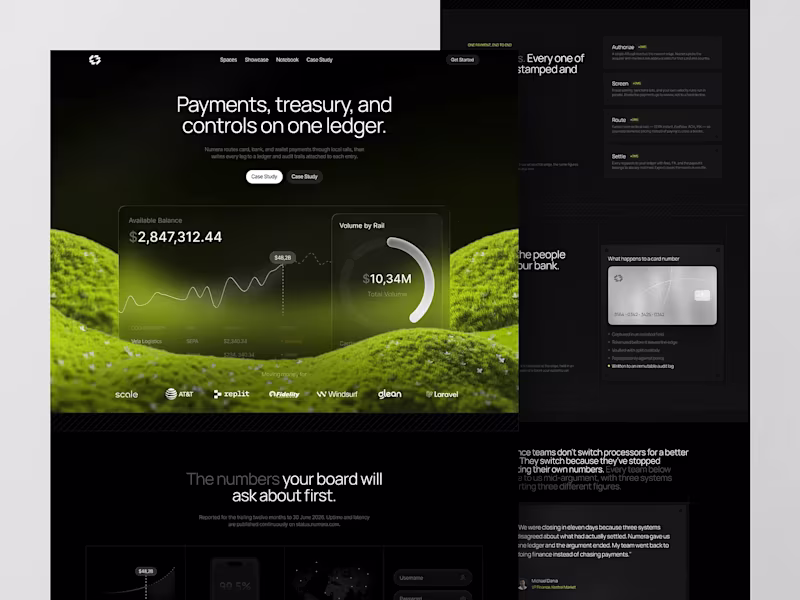 Cover image for Numero - Payment and Treasury Control Landing Page