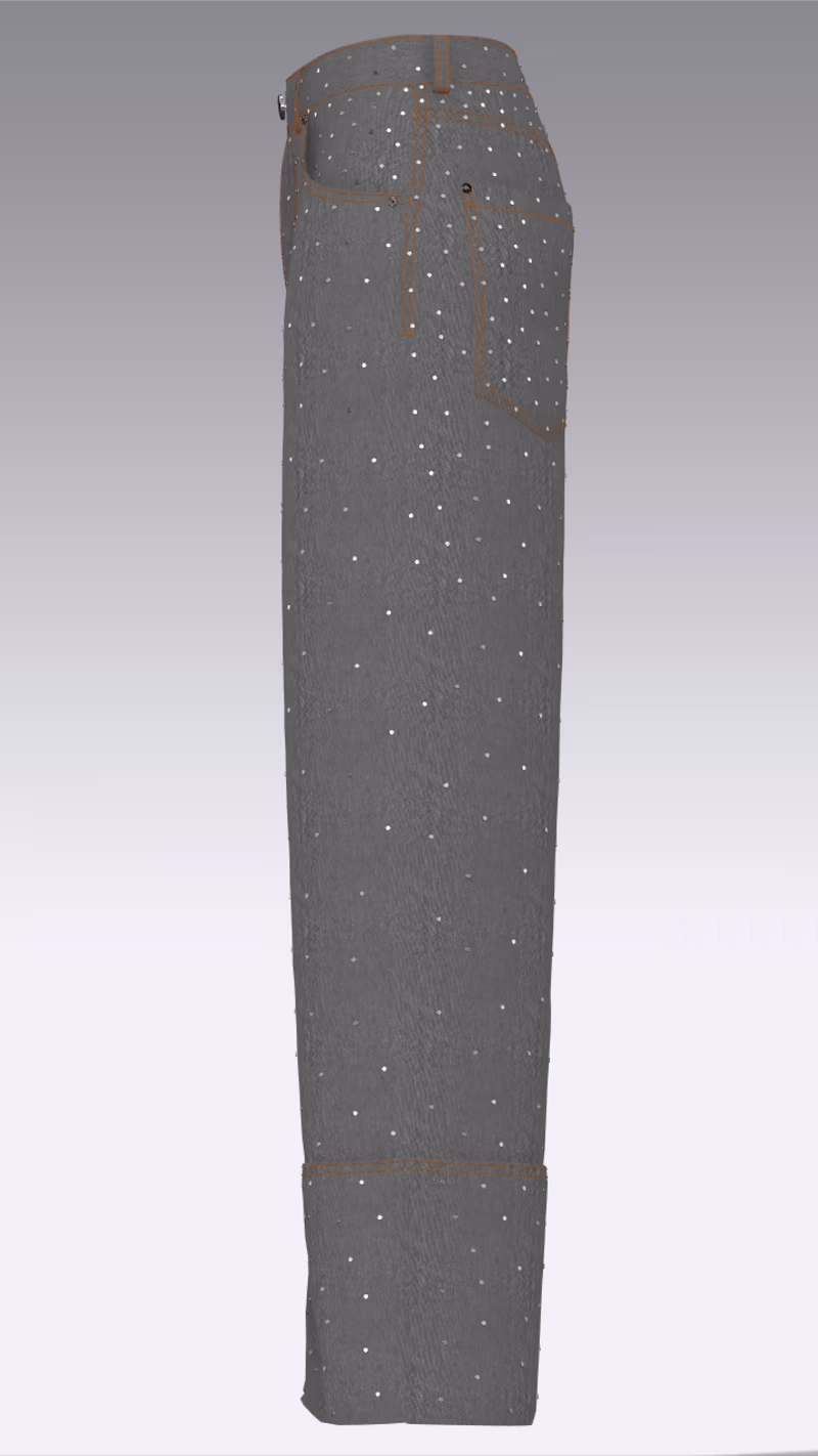 Cover image for Project Description (CLO 3D &