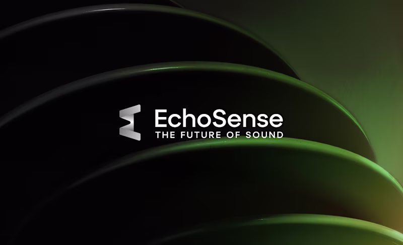 Cover image for EchoSense Brand Development