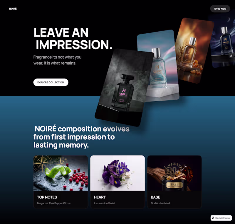 Cover image for First project built on Framer,