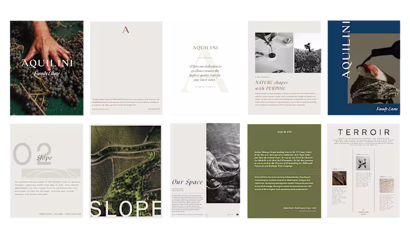 Cover image for Tasting Room Branding