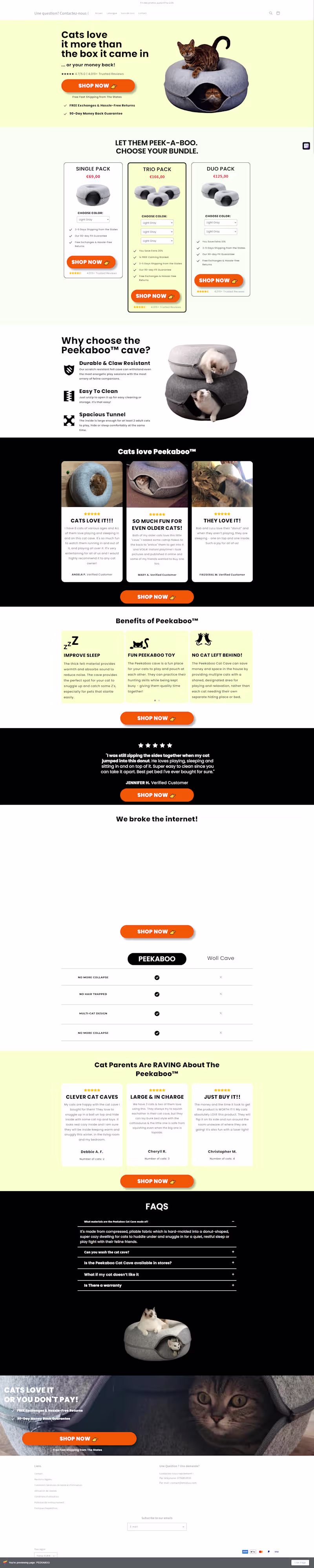 Cover image for This custom Shopify landing page