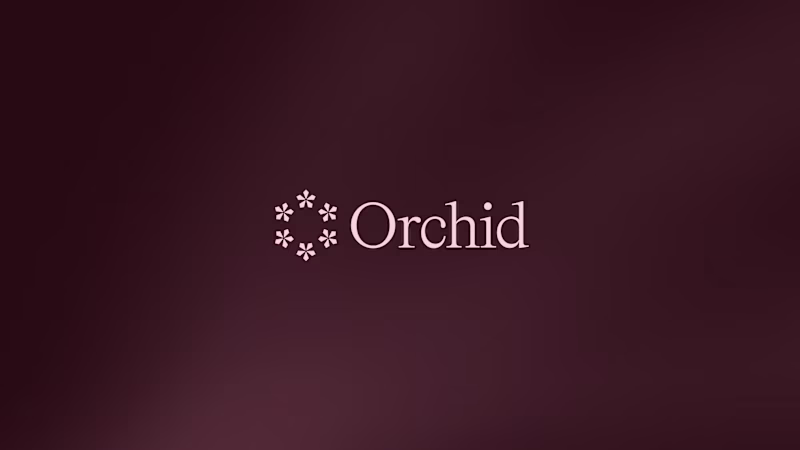Cover image for Exploring some AI style branding today. Using this amazing c...