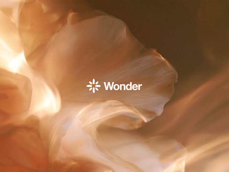 Cover image for Wonder -- Brand Expressions