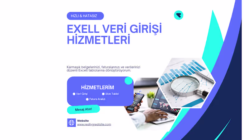 Cover image for An Excel data entry project