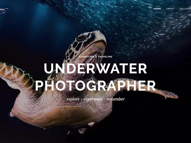 Cover image for Website design - Underwater photographer