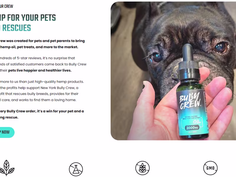 Cover image for E-commerce Landing Page Design For a pet care