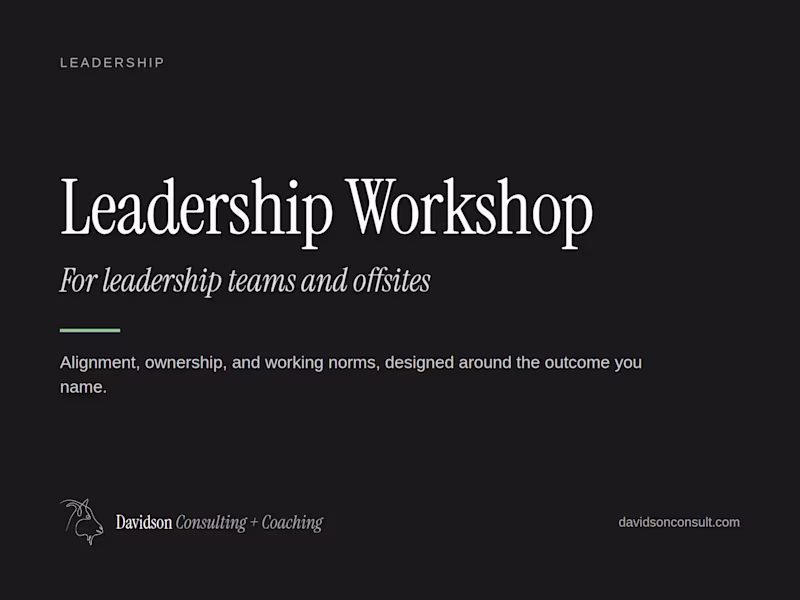 Cover image for Leadership or Team Workshop