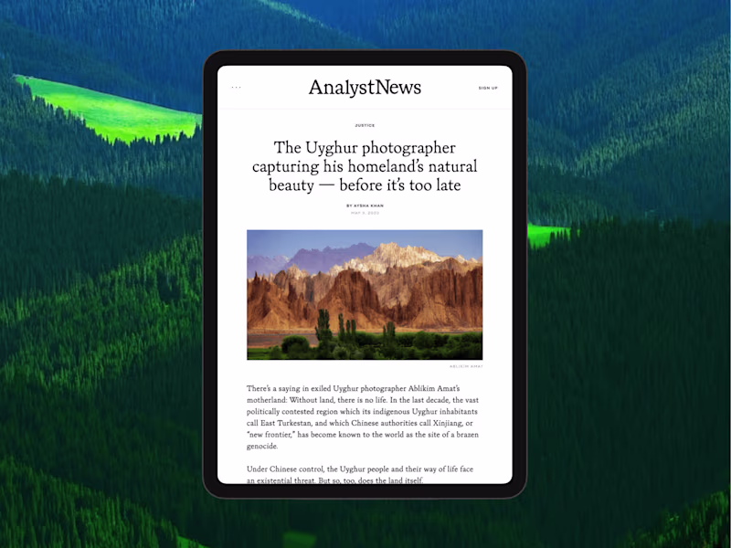 Cover image for Brand Build : Analyst News