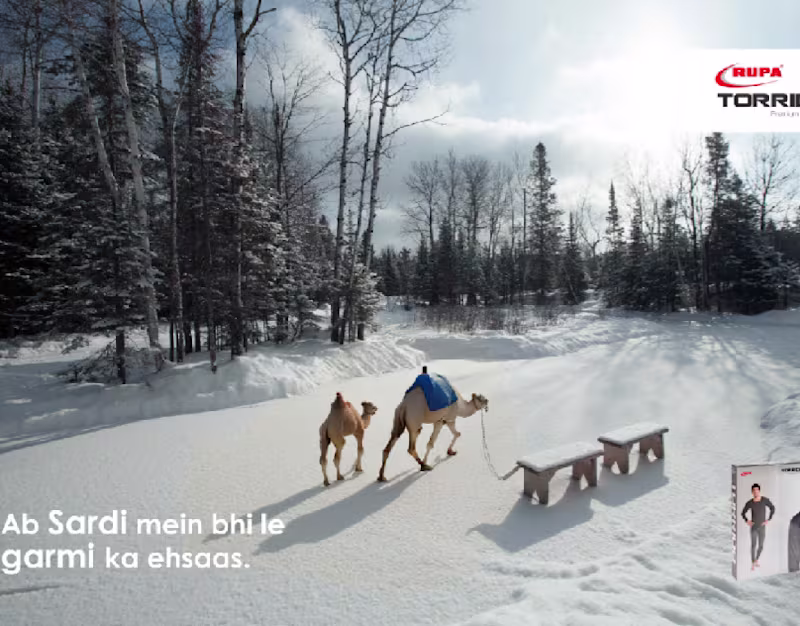 Cover image for Ads