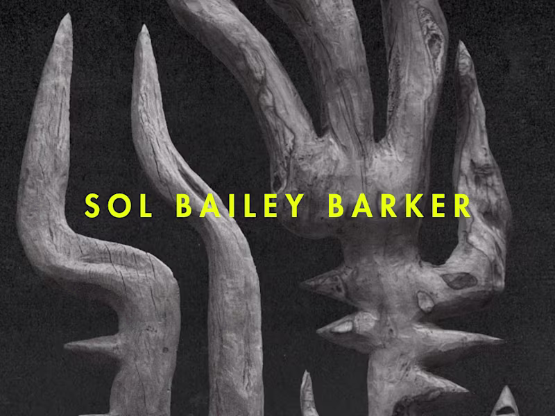 Cover image for Sol Bailey Barker — Exhibition Identity & Visual Communication
