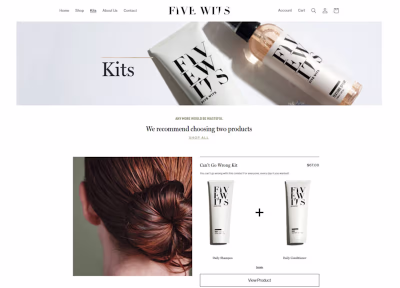 Cover image for Five Wits — Custom Shopify