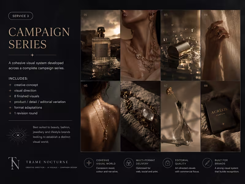 Cover image for Campaign Series