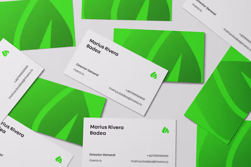 Cover image for Rivera – Brand Identity