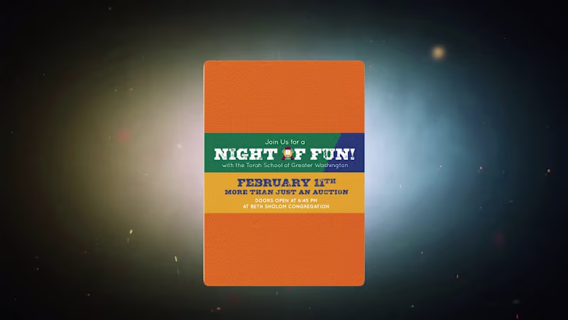 Cover image for Night Fun (School video)